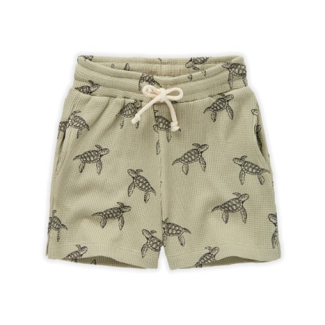 Waffle shorts - turtle print