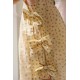 Pacey bow dress