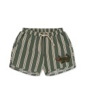 Seer Asnou swimshorts - pasture stripe