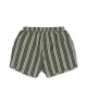 Seer Asnou swimshorts - pasture stripe