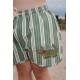 Seer Asnou swimshorts - pasture stripe