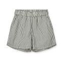 Ayo striped shorts - whale blue