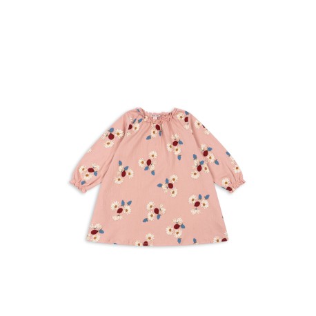 Chloe dress - ladybug daisy blush