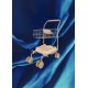 Kids Shopping cart - Fleur decor