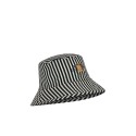 Asnou hat- scarab