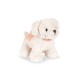 Madelaine puppy