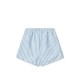 Aiden board shorts- seersucker riverside