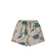 Duke board shorts- Dinosaurs