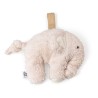 Musical pull toy, Fanto rose